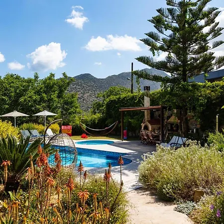 Alonia Villa, Refined Living With 50m2 Private Pool, By Thinkvilla Melidhónion